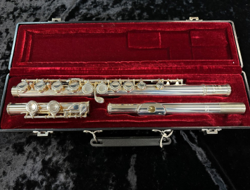Very Nice! Eastman EFL210 Flute in Silver Plate #14690405